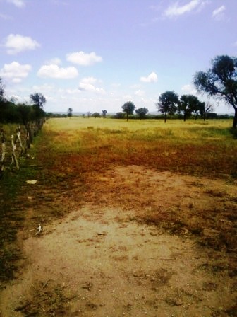 Venta Campo 891 hectáreas – Ruta 146 Km 5 – La Punta – San Luis - 16