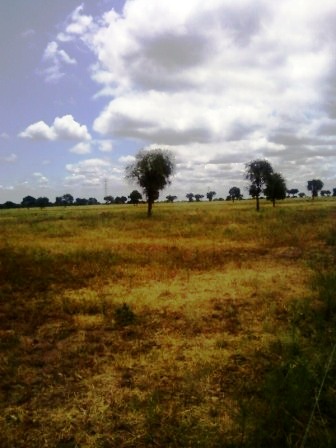 Venta Campo 891 hectáreas – Ruta 146 Km 5 – La Punta – San Luis - 17