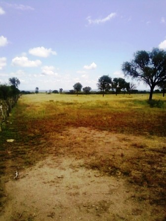Venta Campo 891 hectáreas – Ruta 146 Km 5 – La Punta – San Luis - 18