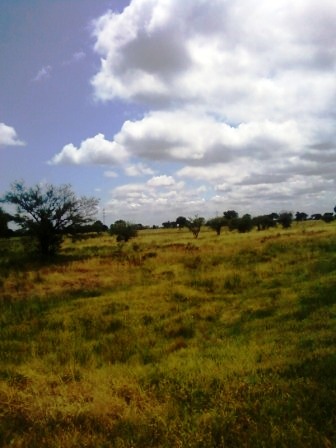 Venta Campo 891 hectáreas – Ruta 146 Km 5 – La Punta – San Luis - 19