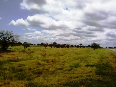 Venta Campo 891 hectáreas – Ruta 146 Km 5 – La Punta – San Luis - 20