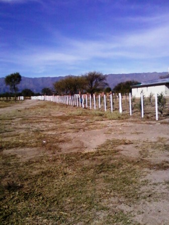 Venta Campo 891 hectáreas – Ruta 146 Km 5 – La Punta – San Luis - 21