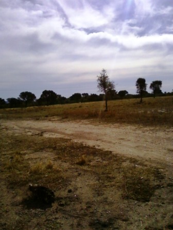 Venta Campo 891 hectáreas – Ruta 146 Km 5 – La Punta – San Luis - 22