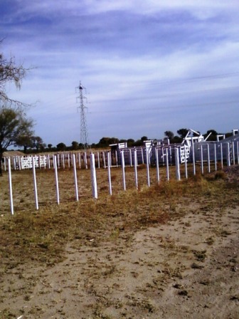 Venta Campo 891 hectáreas – Ruta 146 Km 5 – La Punta – San Luis - 23
