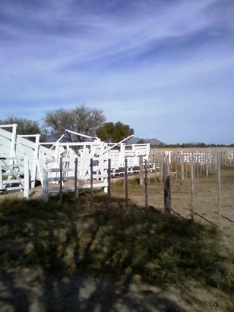 Venta Campo 891 hectáreas – Ruta 146 Km 5 – La Punta – San Luis - 25