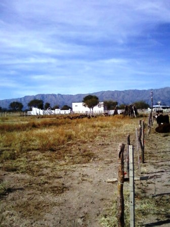 Venta Campo 891 hectáreas – Ruta 146 Km 5 – La Punta – San Luis - 26