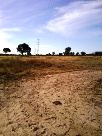 Venta Campo 891 hectáreas – Ruta 146 Km 5 – La Punta – San Luis - 27