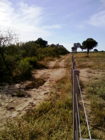 Venta Campo 891 hectáreas – Ruta 146 Km 5 – La Punta – San Luis - 28
