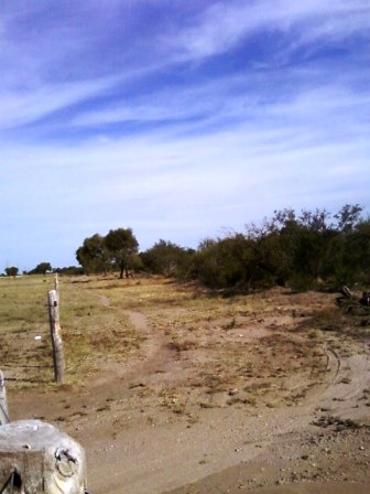 Venta Campo 891 hectáreas – Ruta 146 Km 5 – La Punta – San Luis - 29