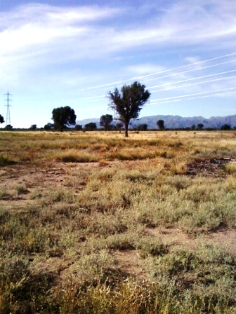 Venta Campo 891 hectáreas – Ruta 146 Km 5 – La Punta – San Luis - 30