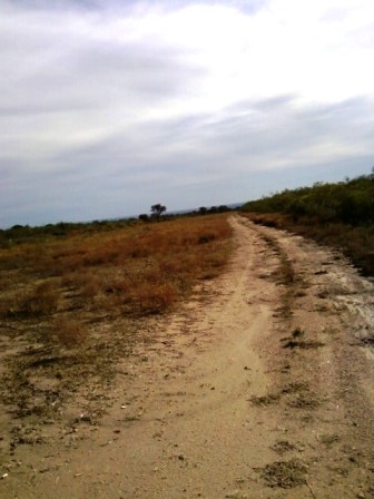 Venta Campo 891 hectáreas – Ruta 146 Km 5 – La Punta – San Luis - 32
