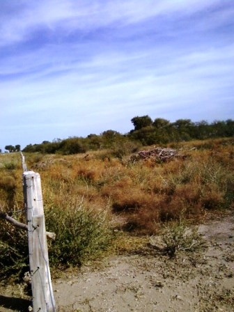 Venta Campo 891 hectáreas – Ruta 146 Km 5 – La Punta – San Luis - 33