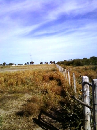 Venta Campo 891 hectáreas – Ruta 146 Km 5 – La Punta – San Luis - 35