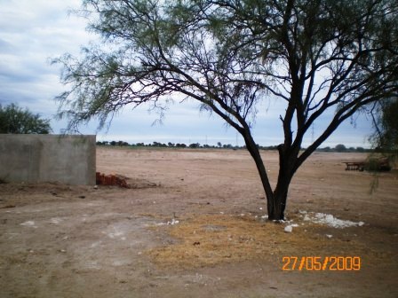 Venta Campo 891 hectáreas – Ruta 146 Km 5 – La Punta – San Luis - 42