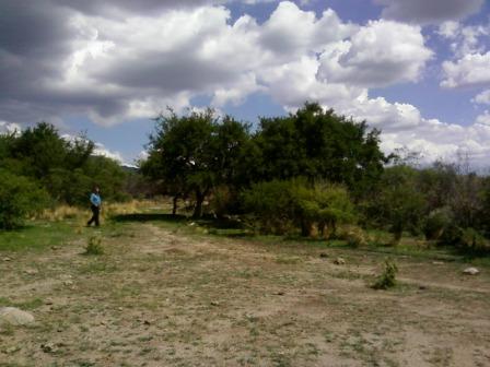 Venta Campo 891 hectáreas – Ruta 146 Km 5 – La Punta – San Luis - 44