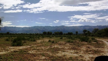 Venta Campo 891 hectáreas – Ruta 146 Km 5 – La Punta – San Luis - 46