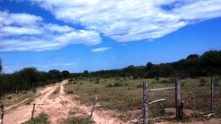 Venta Campo 891 hectáreas – Ruta 146 Km 5 – La Punta – San Luis - 47