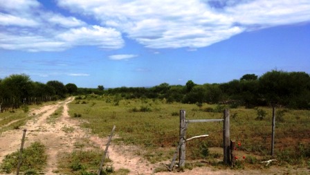 Venta Campo 891 hectáreas – Ruta 146 Km 5 – La Punta – San Luis - 48