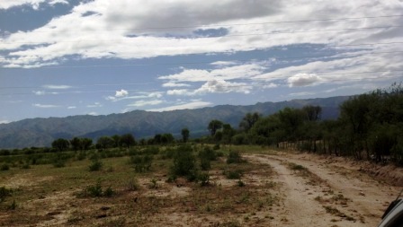 Venta Campo 891 hectáreas – Ruta 146 Km 5 – La Punta – San Luis - 49