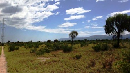 Venta Campo 891 hectáreas – Ruta 146 Km 5 – La Punta – San Luis - 53