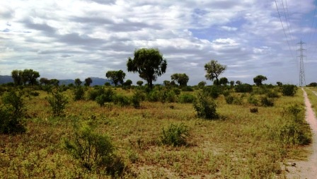Venta Campo 891 hectáreas – Ruta 146 Km 5 – La Punta – San Luis - 54