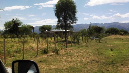 Venta Campo 891 hectáreas – Ruta 146 Km 5 – La Punta – San Luis - 61