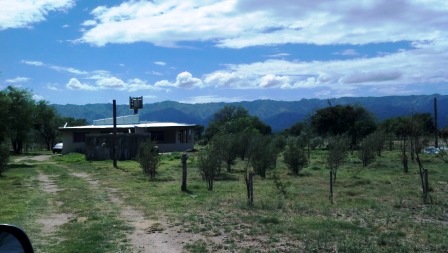 Venta Campo 891 hectáreas – Ruta 146 Km 5 – La Punta – San Luis - 62