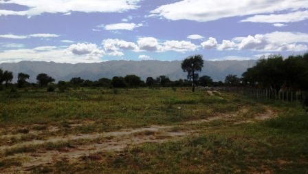 Venta Campo 891 hectáreas – Ruta 146 Km 5 – La Punta – San Luis - 65