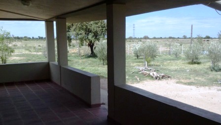Venta Campo 891 hectáreas – Ruta 146 Km 5 – La Punta – San Luis - 76