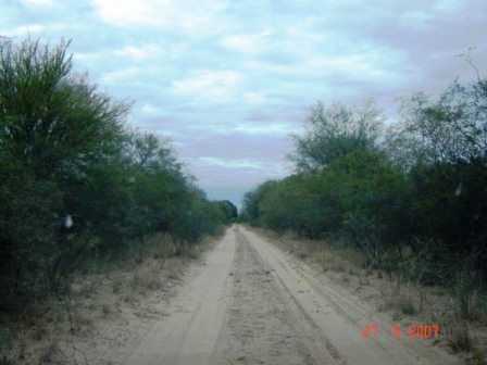 Venta Campo 635 hectáreas – Ruta 79 82000 – El Calden – San Luis - 3
