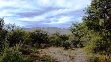 Venta Campo 17 hectáreas – Ruta 1 1500 – Villa Larca – San Luis - 3