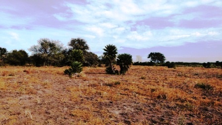 Venta Campo 17 hectáreas – Ruta 1 1500 – Villa Larca – San Luis - 10