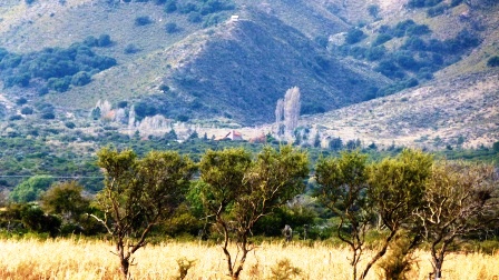 Venta Campo 17 hectáreas – Ruta 1 1500 – Villa Larca – San Luis - 11