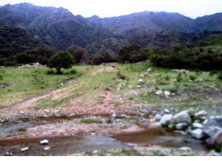 Venta Campo 10 hectáreas – Dique Piscu Yaco – San Luis - 2