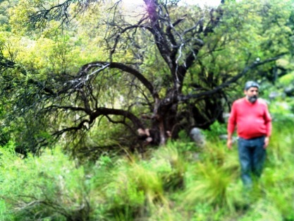 Venta Campo 10 hectáreas – Dique Piscu Yaco – San Luis - 3