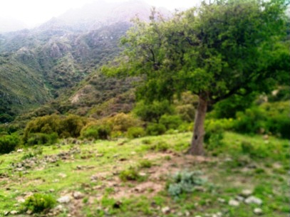 Venta Campo 10 hectáreas – Dique Piscu Yaco – San Luis - 5