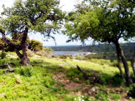 Venta Campo 10 hectáreas – Dique Piscu Yaco – San Luis - 6