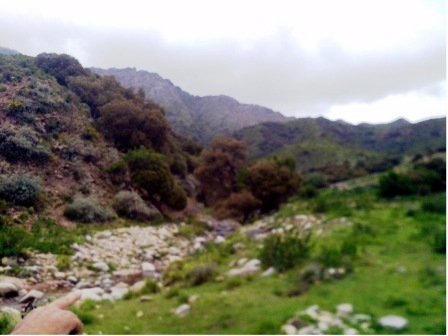 Venta Campo 10 hectáreas – Dique Piscu Yaco – San Luis - 7