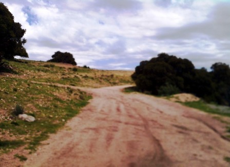 Venta Campo 10 hectáreas – Dique Piscu Yaco – San Luis - 9