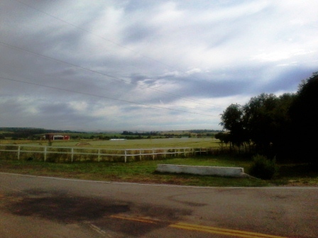 Venta 8 hectáreas – Estancia Grande – R. Villorco – San Luis — foto 6