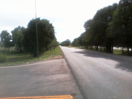 Venta 8 hectáreas – Estancia Grande – R. Villorco – San Luis — foto 8