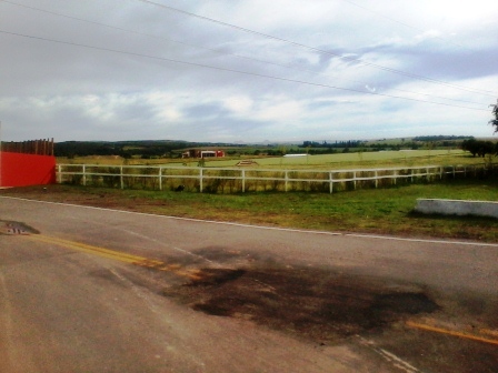 Venta 8 hectáreas – Estancia Grande – R. Villorco – San Luis — foto 9