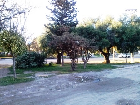 Alquiler de Oficinas en Ruta 20 - San Luis - 11