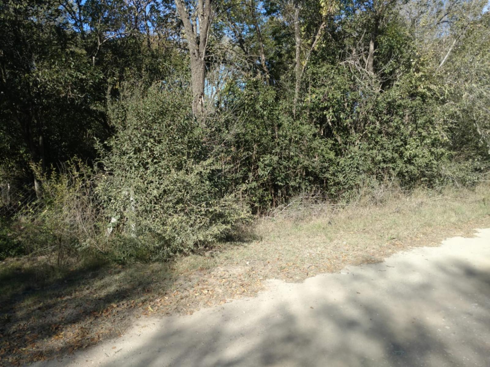 VENTA DE LOTE EN SAN JORGE — foto 2