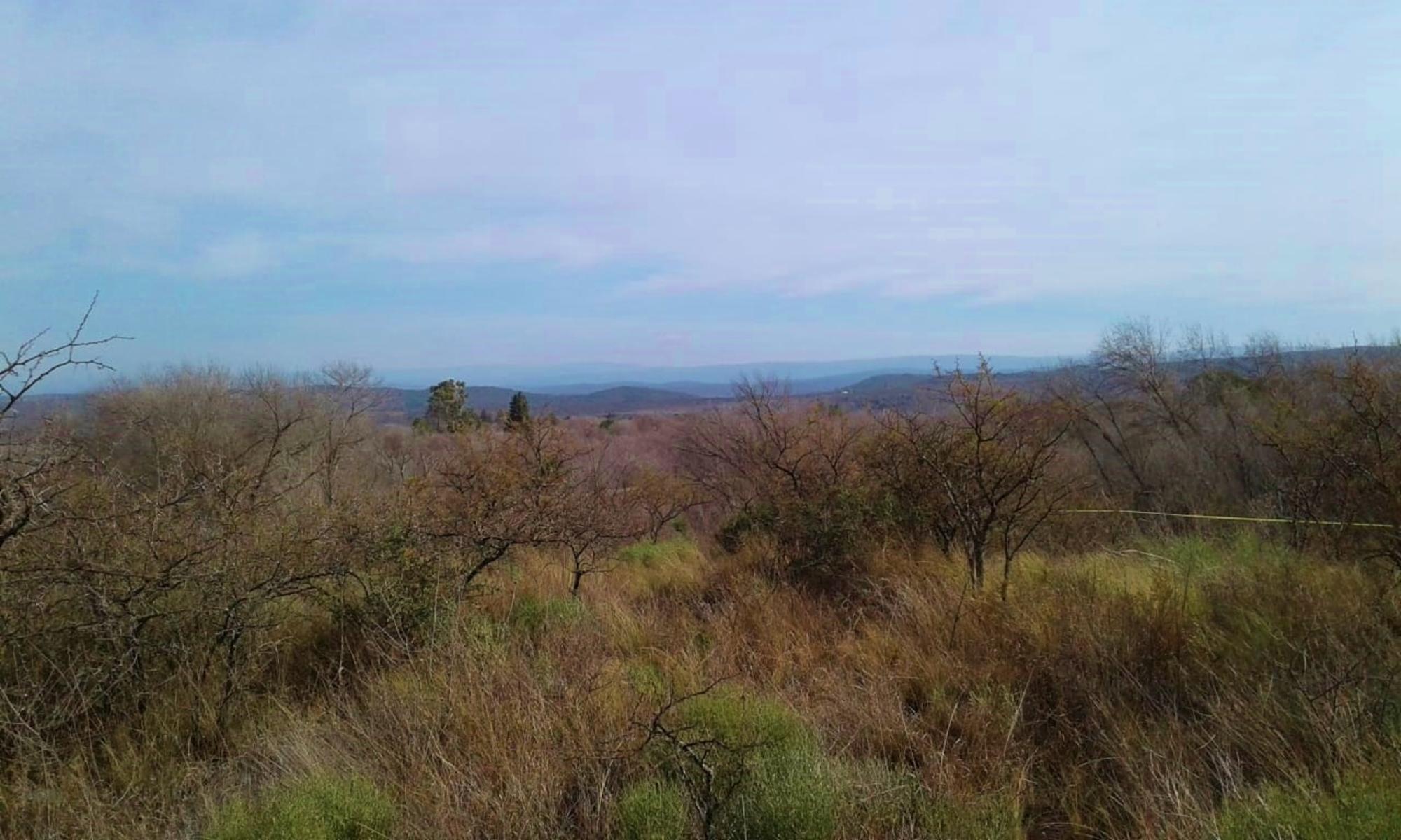GRAN LOTE EN VENTA - MOLINARI — foto 2