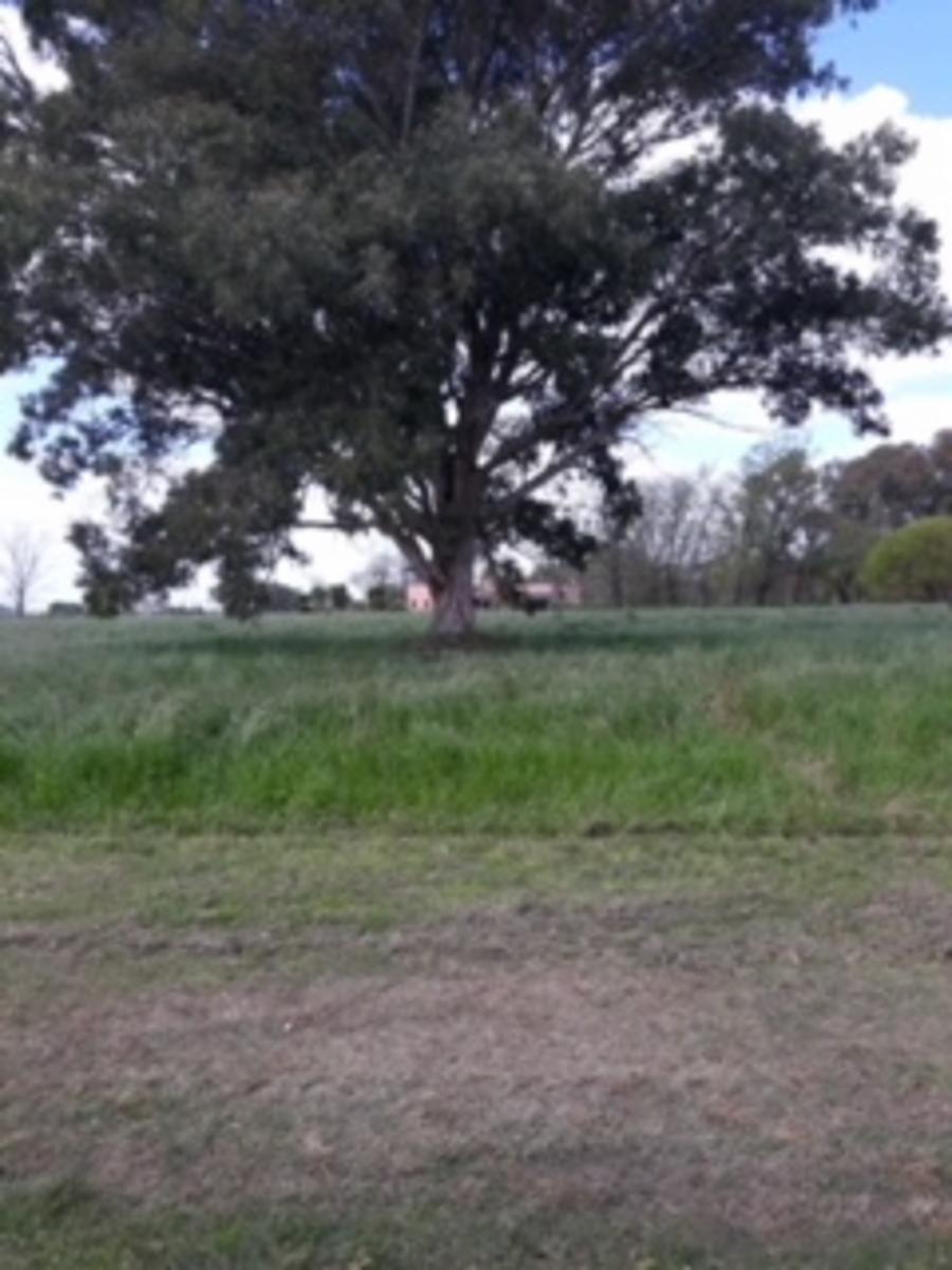 Lote Terreno Campo Country Golf Club El Espinillo Lujan Acc Oeste, Km 72. — foto 12