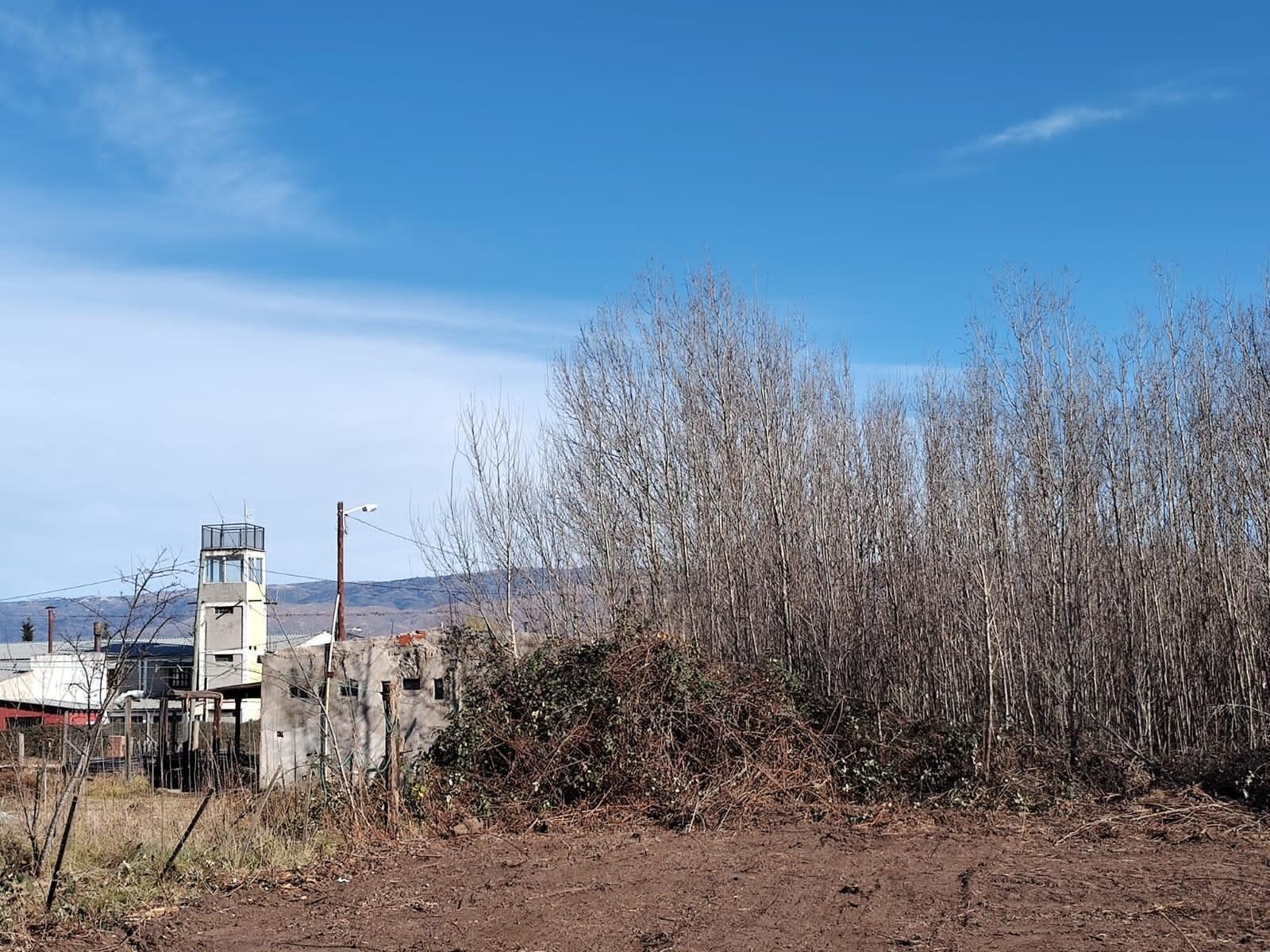Lote de 600 Mts con Servicios Activos — foto 6