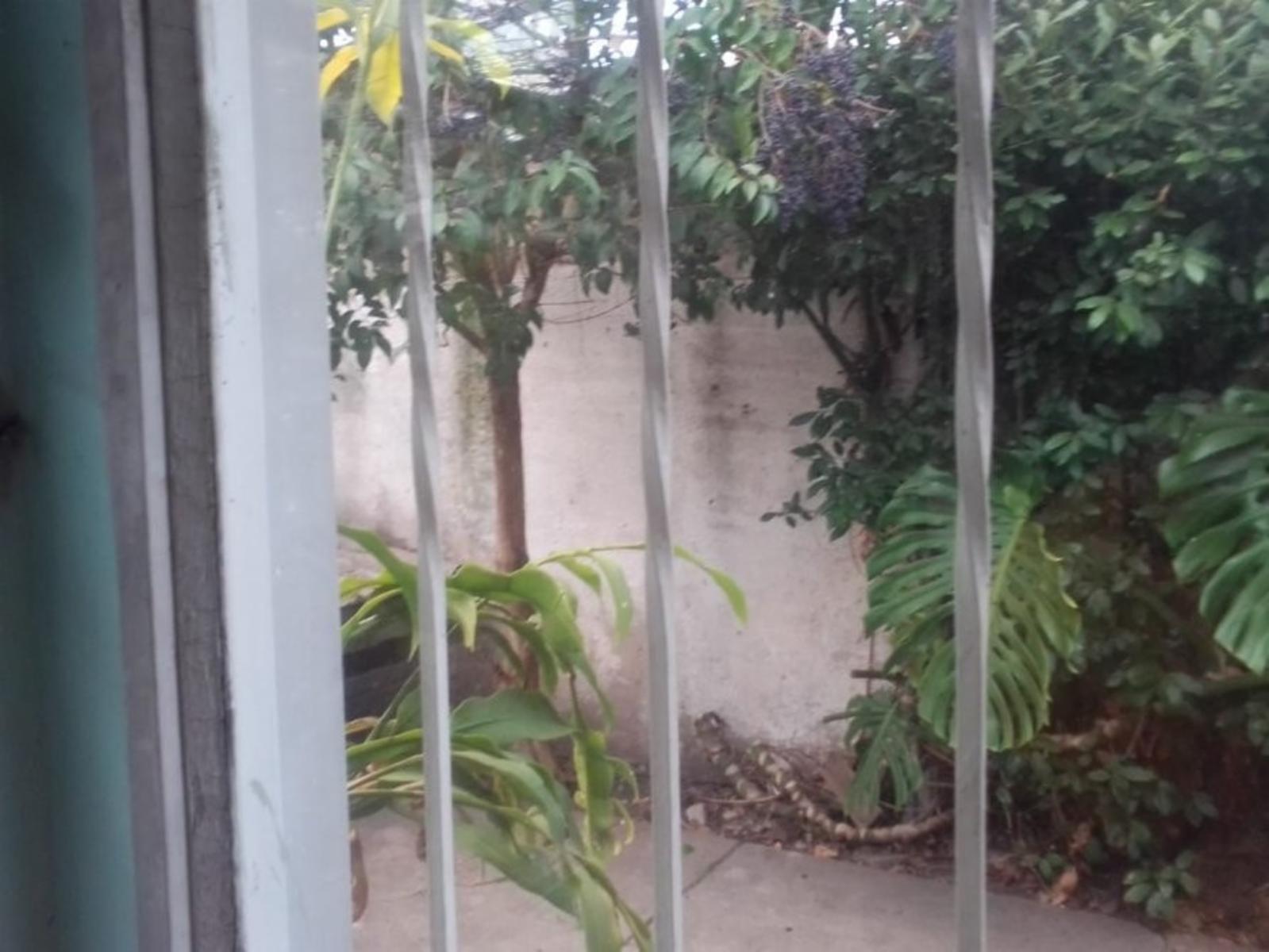 Casa de 3 Ambientes C/ Espacio Guarda Coche y Fondo Libre Parquizado — foto 3