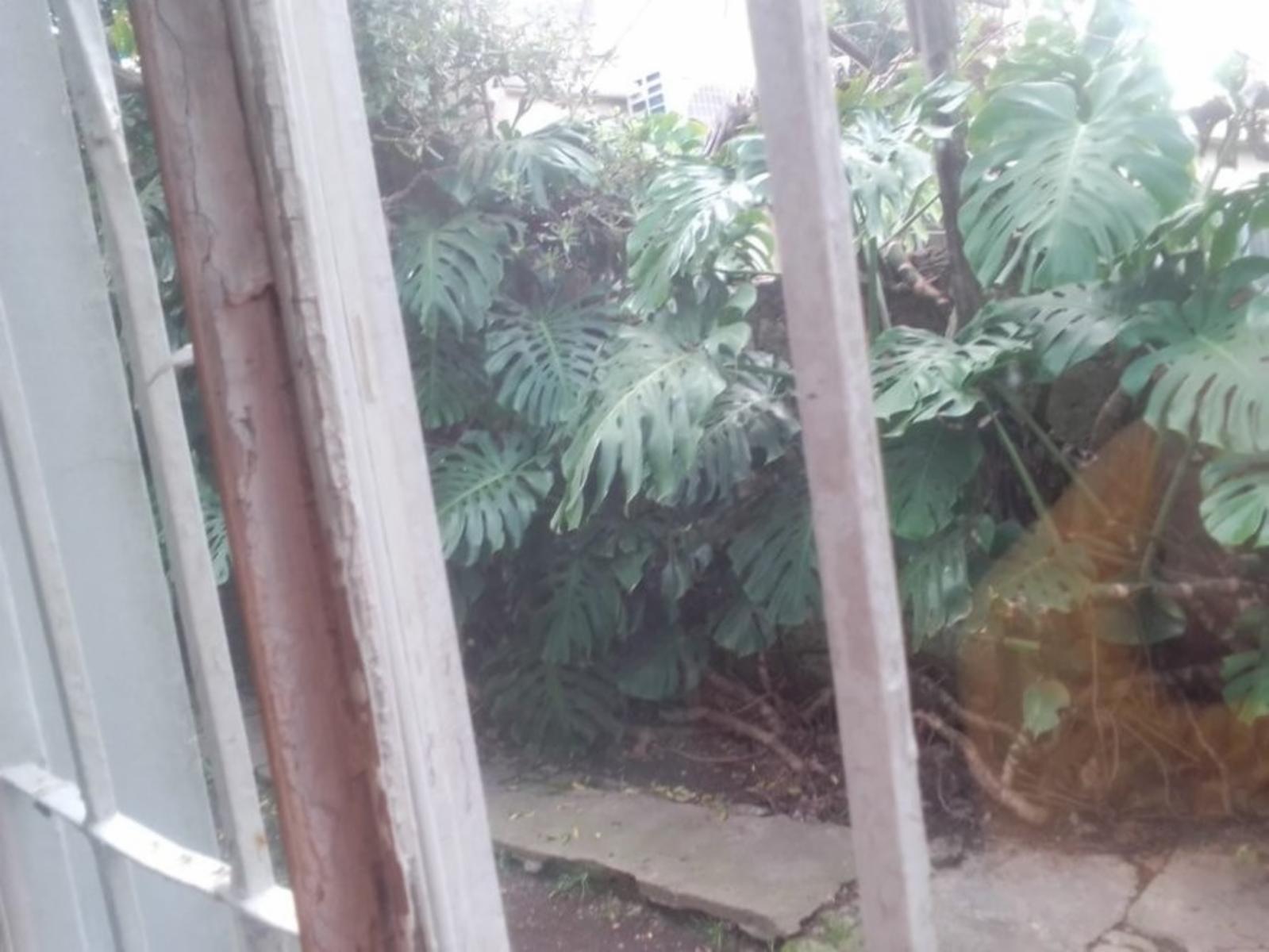 Casa de 3 Ambientes C/ Espacio Guarda Coche y Fondo Libre Parquizado — foto 5