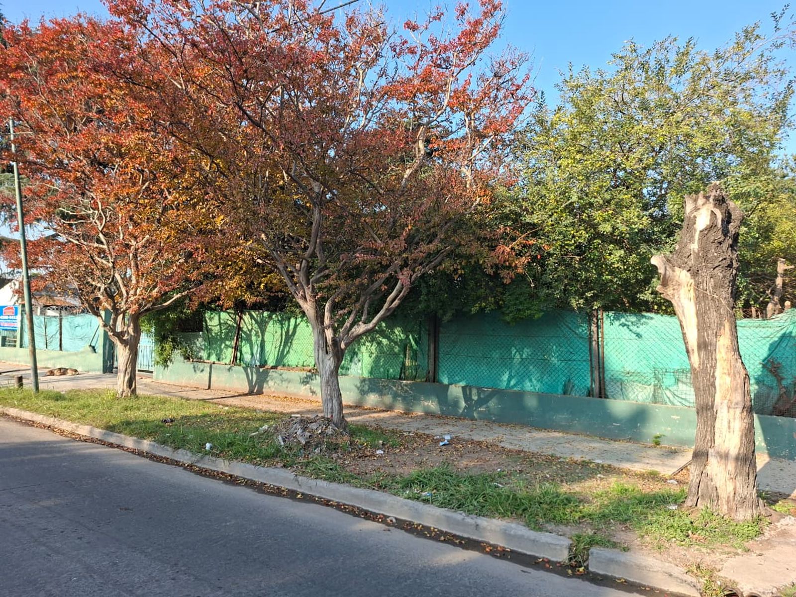 Casa en 2 lotes ideal galpon - 21